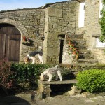 Albert & Victoria Wire haired Fox Terriers on the wall of High Blean B&B Semerwater, betwixt Askrigg, Hawes and Bainbridge, Yorkshire Dales