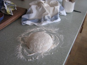 High Blean B&B dough turned out from a tea cloth in a bowl, which provides the shape for the loaf