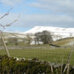 High Blean B&B Bainbridge, Askrigg, is overlooked by Addleborough a distinctive flat topped hill with Iveson farm in the foreground