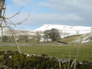 High Blean B&B Bainbridge, Askrigg, is overlooked by Addleborough a distinctive flat topped hill with Iveson farm in the foreground 