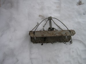 Photo of mole trap used in Raydale, Yorkshire Dales
