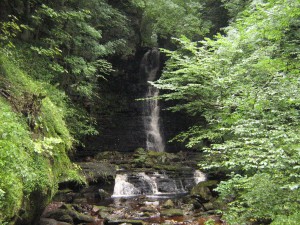 Mill Gill Water Fall, 3/4 mile walk from Askrigg though it is walkable from High Blean B&B Semer Water