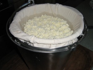 Curds for making farmhouse cheese at High Blean B&B Askrigg